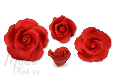 Vörös rózsa szett (17 darabos)